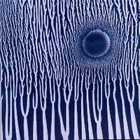 Sunn O))) : GrimmRobe Demo